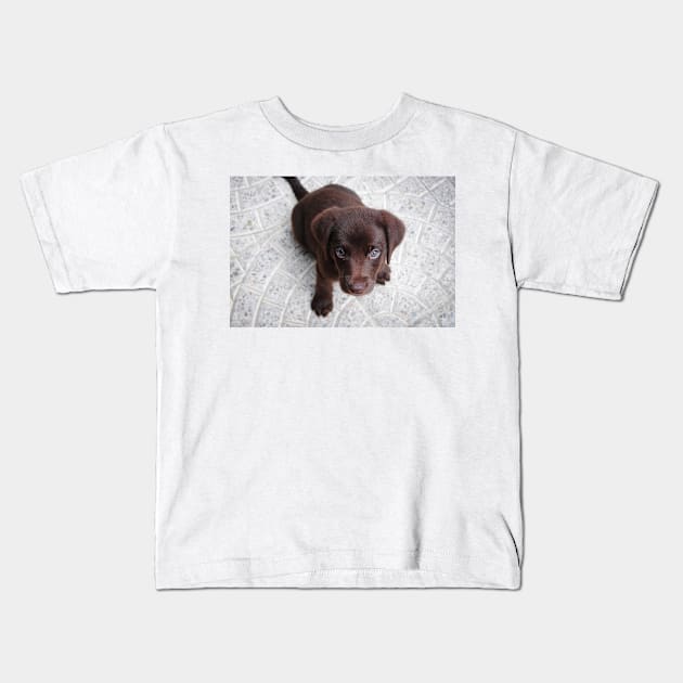 Labrador Retriever chocolate puppy Kids T-Shirt by Wanderingangel